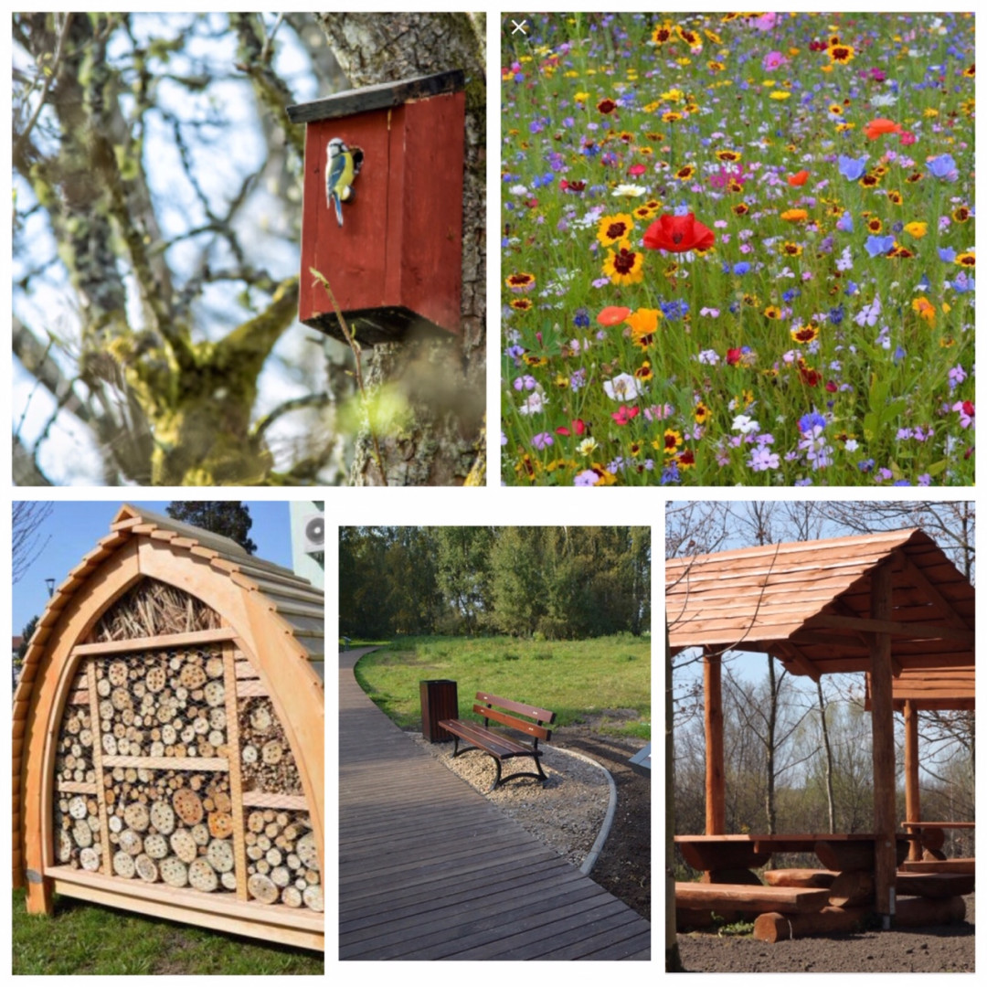 Zdjęcie projektu nr 1