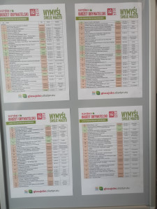 PLAKAT- lista projekt&oacute;w OBO2025 wybranych do głosowania